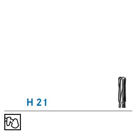 PI H21